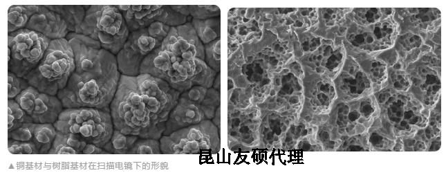 随州蔡司随州扫描电镜