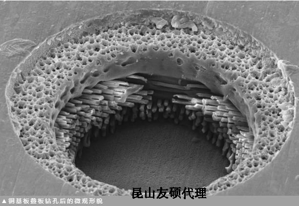 随州蔡司随州扫描电镜